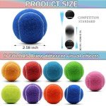 SHYUJAJIE Tennis Balls, 20 Pack Training Tennis Balls,High Elasticity Practice Tennis for Beginner, Exercise Playing Balls for Pet Dog (Dark Blue)