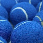 Swingers 20 Pack Tennis Balls,Training Exercise Balls for Pet Dog, High Elasticity Practice Tennis Balls for Beginner, with Mesh Carry Bag Easy to Transport (Dark Blue)