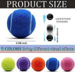 Swingers 20 Pack Tennis Balls,Training Exercise Balls for Pet Dog, High Elasticity Practice Tennis Balls for Beginner, with Mesh Carry Bag Easy to Transport (Dark Blue)