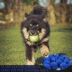 Swingers 20 Pack Tennis Balls,Training Exercise Balls for Pet Dog, High Elasticity Practice Tennis Balls for Beginner, with Mesh Carry Bag Easy to Transport (Dark Blue)