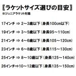 WILSON Pro Staff Precision Junior 23 Tennis Racket - Black/Red