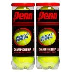 Penn Championship Tennis Balls - Regular Duty Felt Pressurized Tennis Balls - 2 Cans, 6 Balls