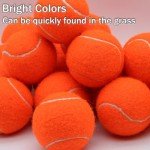 SHYUJAJIE Tennis Balls, 20 Pack Training Tennis Balls,High Elasticity Practice Tennis for Beginner, Exercise Playing Balls for Pet Dog (Orange)