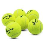 Magicorange Tennis Balls, 6 Pack Advanced Training Tennis Balls Practice Balls, Pet Dog Playing Balls, Come with Mesh Bag for Easy Transport, Good for Beginner Training Ball (Yellow) (Yellow)