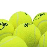 Magicorange Tennis Balls, 6 Pack Advanced Training Tennis Balls Practice Balls, Pet Dog Playing Balls, Come with Mesh Bag for Easy Transport, Good for Beginner Training Ball (Yellow) (Yellow)