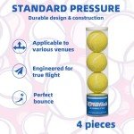 MBFISH Tennis Balls - 4 Pack for Beginner Training With Good Bounce, Friendly for Dogs (Yellow)