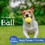 MBFISH Tennis Balls - 4 Pack for Beginner Training With Good Bounce, Friendly for Dogs (Yellow)