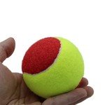 ZHUOKECE Tennis Balls, 12 Pack 25% Low Compression Stage Tennis Ball for Beginners Youth Kids Training Practicing with Mesh Bag for Easy Transport (Red)