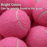 SHYUJAJIE Tennis Balls, 20 Pack Training Tennis Balls,High Elasticity Practice Tennis for Beginner, Exercise Playing Balls for Pet Dog (Pink)