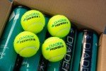 Diadem Premier Extra Duty Tennis Balls - Case of 24 Cans (72 Balls) - Tournament-Approved, Durable TTI Felt for Hard Court Surfaces