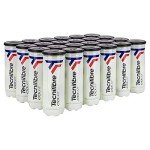 Tecnifibre Court Tennis Balls (Case)