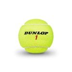 Dunlop Sports ATP Championship Regular Duty Tennis Balls - Case of 24 cans (72 Balls)