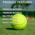 SHYUJAJIE Tennis Balls, 6 Pack Training Tennis Balls,High Elasticity Practice Tennis for Beginner, Exercise Playing Balls for Pet Dog (Yellow)