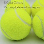 SHYUJAJIE Tennis Balls, 6 Pack Training Tennis Balls,High Elasticity Practice Tennis for Beginner, Exercise Playing Balls for Pet Dog (Yellow)