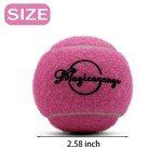 Magicorange Tennis Balls, 12 Pack Training Tennis Practice Balls, Pet Dog Playing Balls, Come with Mesh Bag for Easy Transport, Good for Beginner Training Ball