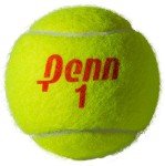 Penn Championship Tennis Balls - Regular Duty Felt Pressurized Tennis Balls - 12 Cans, 36 Balls
