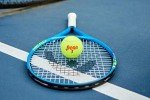 Penn Championship Tennis Balls - Regular Duty Felt Pressurized Tennis Balls - 12 Cans, 36 Balls