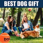 AMA SPORT Tennis Balls for Dogs 12 Pack 2.5" Orange Dog Tennis Balls for Puppy Small Medium Dog Toys, Designed for Dogs Floating, Water-Hunting, Fetch, Fun Playing, Daily Exercise, Mid-air Catching