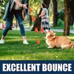 AMA SPORT Tennis Balls for Dogs 12 Pack 2.5" Orange Dog Tennis Balls for Puppy Small Medium Dog Toys, Designed for Dogs Floating, Water-Hunting, Fetch, Fun Playing, Daily Exercise, Mid-air Catching