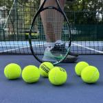 Teloon Championship Tennis Balls - Extra Duty - Regular Duty Felt Pressurized Tennis Balls (1 Can, 3 Balls)