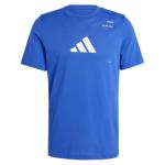 adidas Men's Tennis Category Graphic T-Shirt, Lucid Blue, Medium