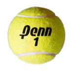 Penn Championship Tennis Balls - Extra Duty Felt Pressurized Tennis Balls 3 Count(Pack of 12)