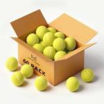 MRYCZ FYRHD Training Tennis Balls – 60 Pack Practice Balls with Mesh Bag, Great for Beginners & Dogs, Bulk Tennis Balls for Training & Play