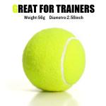 MRYCZ FYRHD Training Tennis Balls – 60 Pack Practice Balls with Mesh Bag, Great for Beginners & Dogs, Bulk Tennis Balls for Training & Play