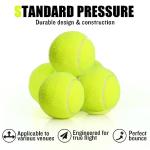 MRYCZ FYRHD Training Tennis Balls – 60 Pack Practice Balls with Mesh Bag, Great for Beginners & Dogs, Bulk Tennis Balls for Training & Play