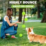 FURWEY 24 Pack Tennis Balls,Thickened Tennis with Mesh Bag for Transport,High Elasticity Training Balls for Beginner, Playing Balls for Dogs