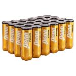 Penn Tour (Extra Duty) Tennis Balls (Case)