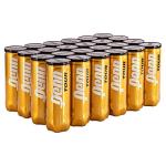 Penn Tour (Extra Duty) Tennis Balls (Case)