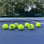 Teloon Championship Tennis Balls - Extra Duty - Regular Duty Felt Pressurized Tennis Balls (Extra 1 Can, 3 Balls)