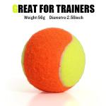 MRYCZ FYRHD 60 Pack Tennis Balls for Kids 50% Low Compression Stage Tennis Ball for Beginners Youth Kids Training Practicing with Mesh Bag Easy to Transport, Yellow & Orange