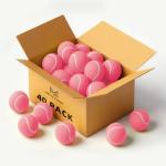 MRYCZ FYRHD Training Tennis Balls – 40 Pack Practice Balls with Mesh Bag, Great for Beginners & Dogs, Bulk Tennis Balls for Training & Play
