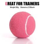 MRYCZ FYRHD Training Tennis Balls – 40 Pack Practice Balls with Mesh Bag, Great for Beginners & Dogs, Bulk Tennis Balls for Training & Play