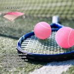 MRYCZ FYRHD Training Tennis Balls – 40 Pack Practice Balls with Mesh Bag, Great for Beginners & Dogs, Bulk Tennis Balls for Training & Play