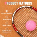 MRYCZ FYRHD Training Tennis Balls – 40 Pack Practice Balls with Mesh Bag, Great for Beginners & Dogs, Bulk Tennis Balls for Training & Play