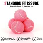 MRYCZ FYRHD Training Tennis Balls – 40 Pack Practice Balls with Mesh Bag, Great for Beginners & Dogs, Bulk Tennis Balls for Training & Play