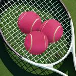 MRYCZ FYRHD Training Tennis Balls – 40 Pack Practice Balls with Mesh Bag, Great for Beginners & Dogs, Bulk Tennis Balls for Training & Play