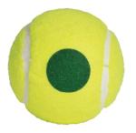 Tourna Green Dot Low Compression Tennis Balls