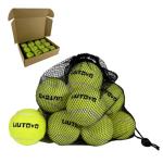 LIUTOVO 12 Pack Tennis Balls - Come with Mesh Bag for Easy Transport, Good for Beginner Training Tennis Balls Bulk, Practice Balls for Beginner, Pet Dog Playing Balls