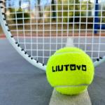 LIUTOVO 12 Pack Tennis Balls - Come with Mesh Bag for Easy Transport, Good for Beginner Training Tennis Balls Bulk, Practice Balls for Beginner, Pet Dog Playing Balls