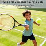 LIUTOVO 12 Pack Tennis Balls - Come with Mesh Bag for Easy Transport, Good for Beginner Training Tennis Balls Bulk, Practice Balls for Beginner, Pet Dog Playing Balls