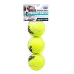 Franklin Pet Supply Co. Squeaky Dog Tennis Balls - Ready Set Fetch Dog Toy Tennis Balls with Squeaker - Perfect Pet Toy Fetch Ball for Small, Medium + Large Dogs - 3 Pack