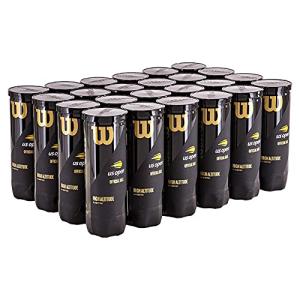 Wilson US Open High Altitude Tennis Ball Case