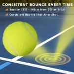 LITIAN 20 Pack Tennis Balls Bulk for Practice and Dog Play – Durable Felt & Natural Rubber Pressureless Tennis Balls with Mesh Bag– Consistent Bounce, All Court Surfaces