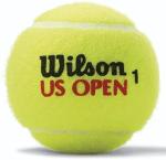 WILSON US Open Tennis Balls - Extra Duty, Single Can (4 Balls)