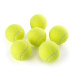 PHOEPET 6-Pack Tennis Balls for Beginner Training Practice- Bulk Dog Balls for Fetch Chew Toys(Neon Yellow)