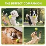 PHOEPET 6-Pack Tennis Balls for Beginner Training Practice- Bulk Dog Balls for Fetch Chew Toys(Neon Yellow)